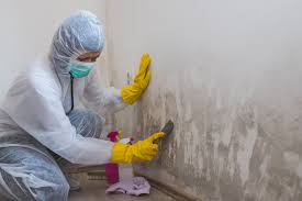 Best Asbestos and Lead Testing During Mold Inspection  in North Zanesville, OH